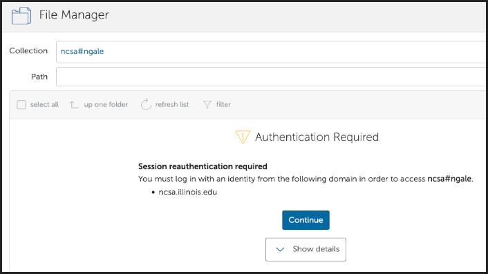 Authentication/Consent Required prompt example for the Nightingale endpoint.