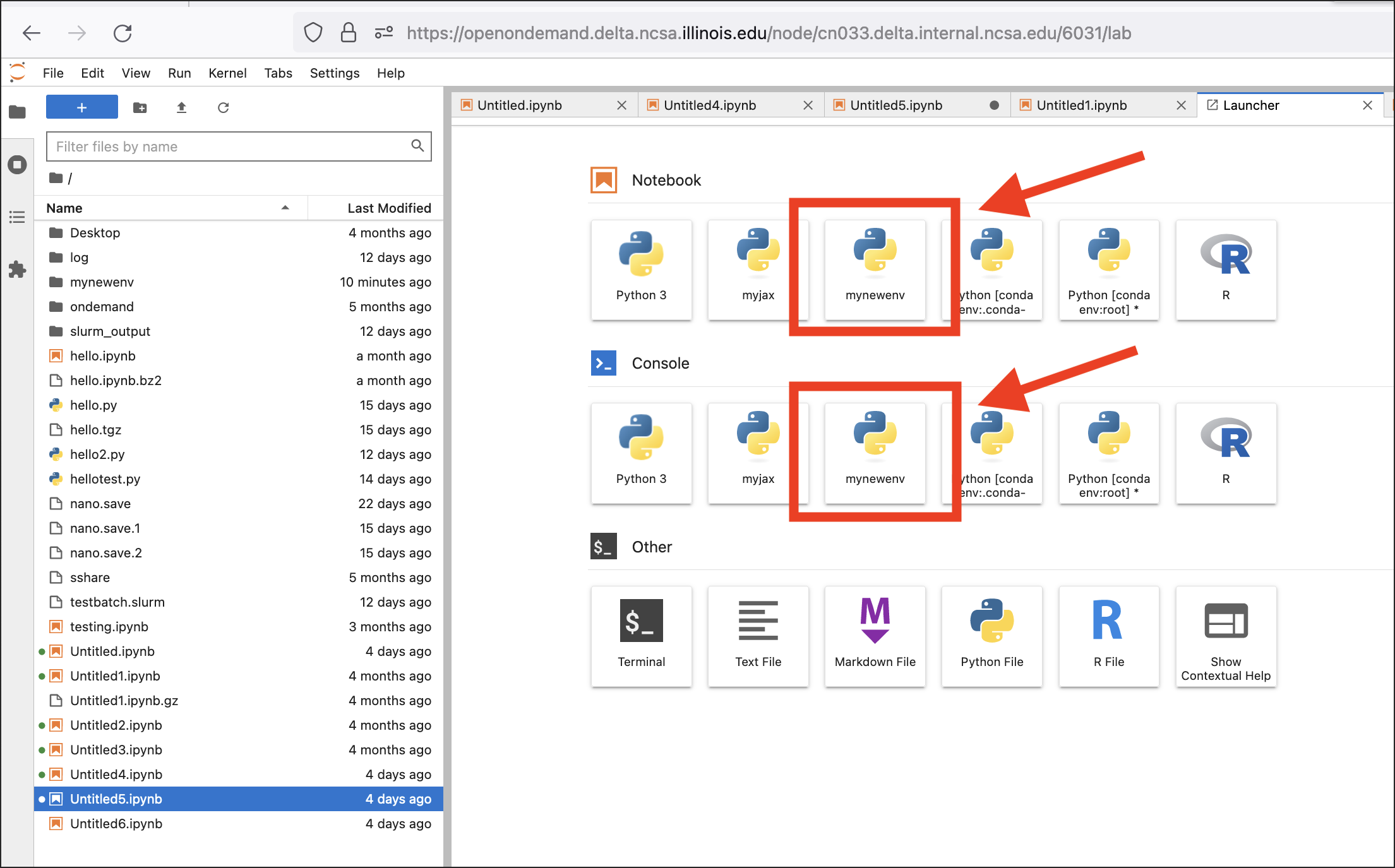 JupyterLab Launcher window with multiple environments to choose from, including 'mynewenv'.