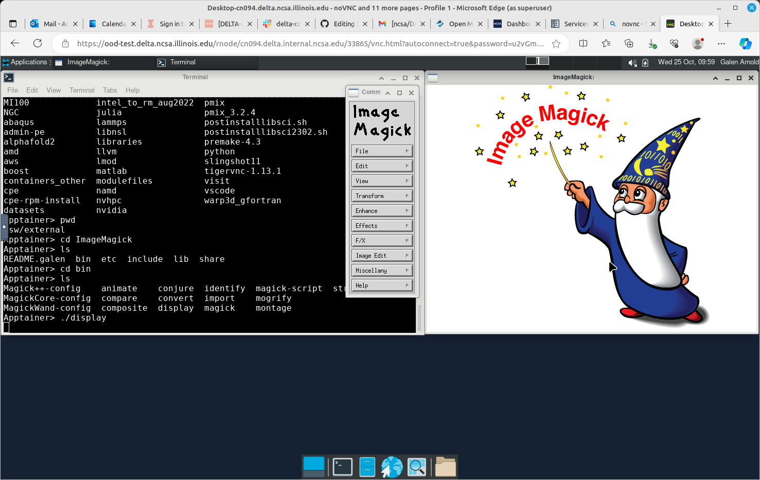 Example showing ImageMagick in use via noVNC Desktop.