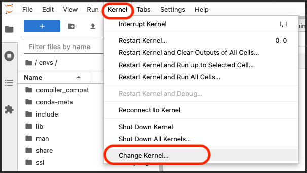 Kernel menu with the change kernel option highlighted.