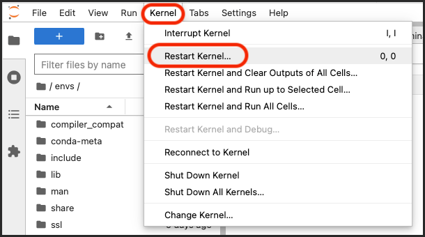Kernel menu with the restart kernel option highlighted.